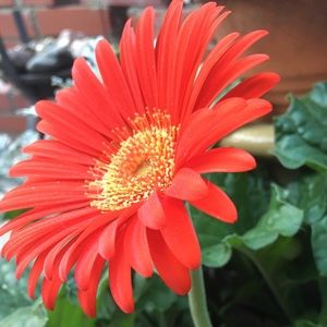 Meet your Posher, Virginia